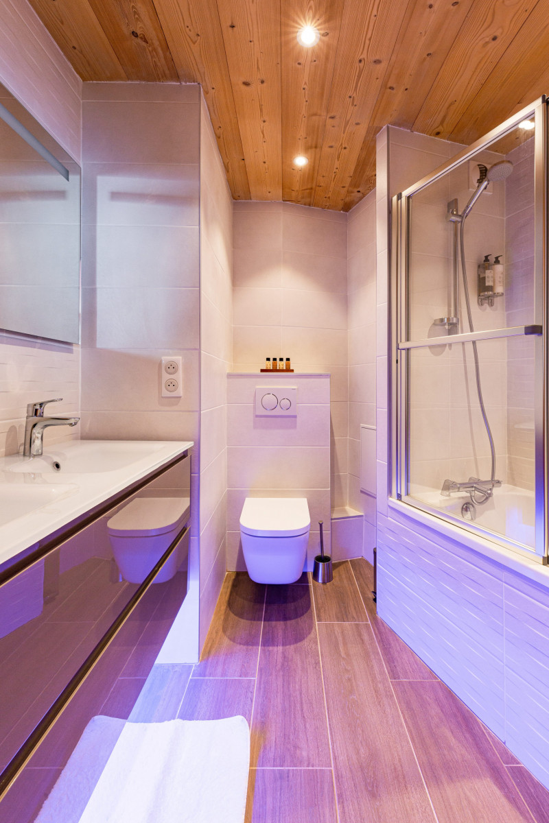 Avoriaz-Chalet_AM-Perspective_00016-min