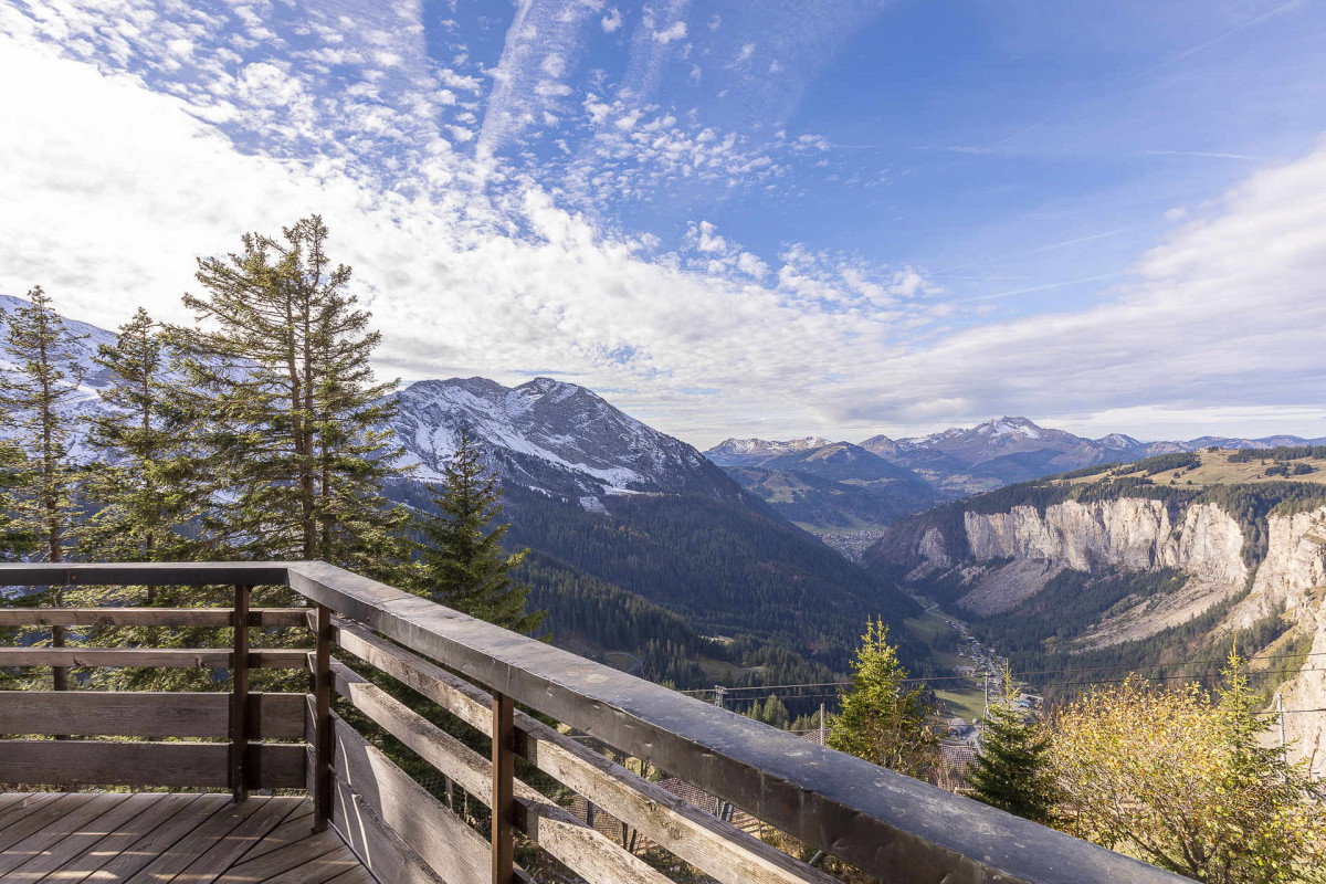 _lv_images__lot_0002800264_15_9586693