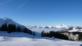 _lv_images__lot_0000430017_16_8427729