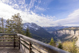 _lv_images__lot_0002800264_15_10421890
