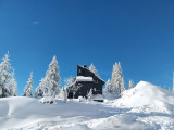_lv_images__lot_0020392373_15_8135438