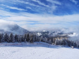 _lv_images__lot_0020392400_09_11196590