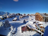 _lv_images__lot_0020392412_12_8110177