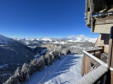 _lv_images__lot_0020392425_14_8110364