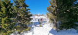_lv_images__lot_0050450049_07_10543136
