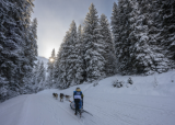 la-grande-odysse-e-avoriaz-2026-8900819