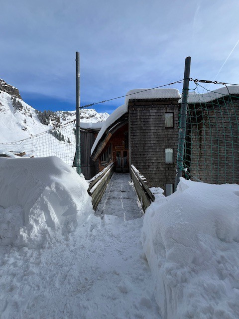 _lv_images__imme_0000005020_01_9780590