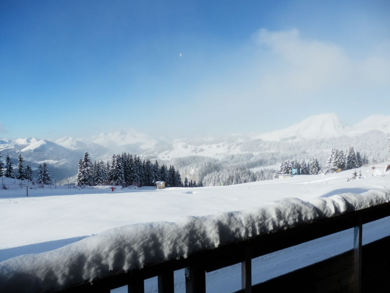 _lv_images__lot_0000000015_16_10130707 _lv_images__lot_0000000015_16_10130707