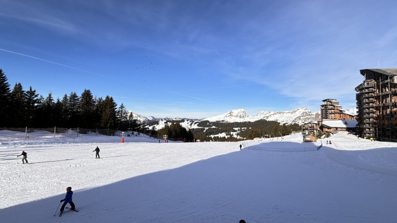 _lv_images__lot_0000000121_16_10008455 _lv_images__lot_0000000121_16_10008455