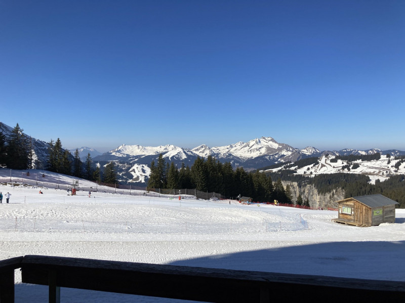 _lv_images__lot_0000000218_16_10184419 _lv_images__lot_0000000218_16_10184419