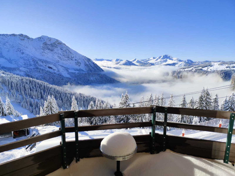 _lv_images__lot_0000000258_16_10076559