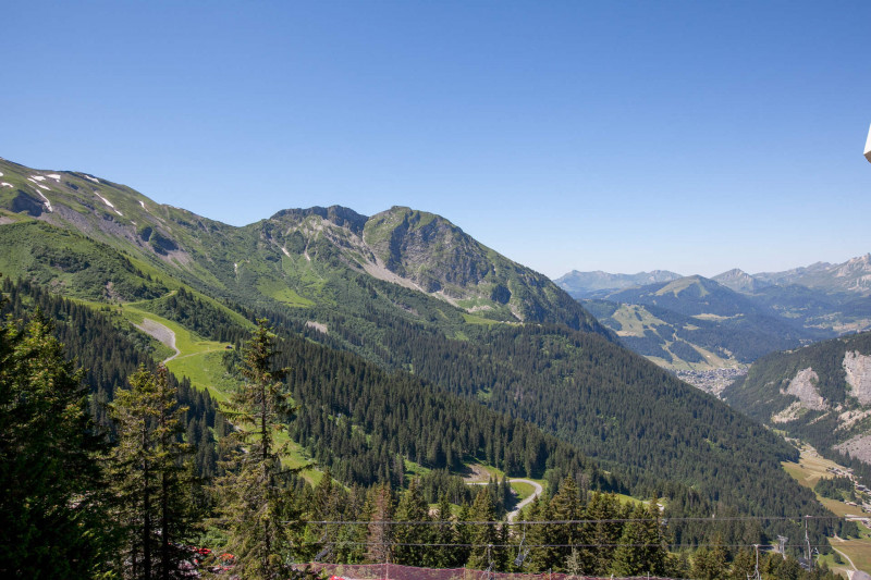 Vue été Vue été