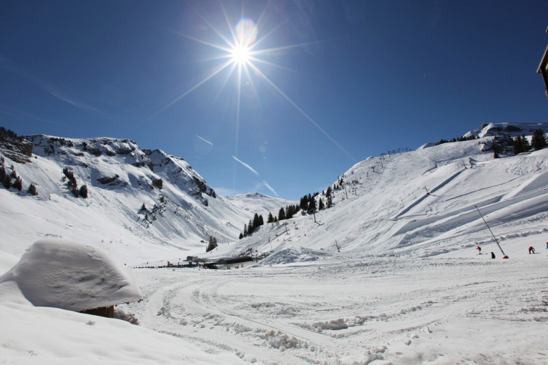 _lv_images__lot_0000340010_12_11044661 _lv_images__lot_0000340010_12_11044661