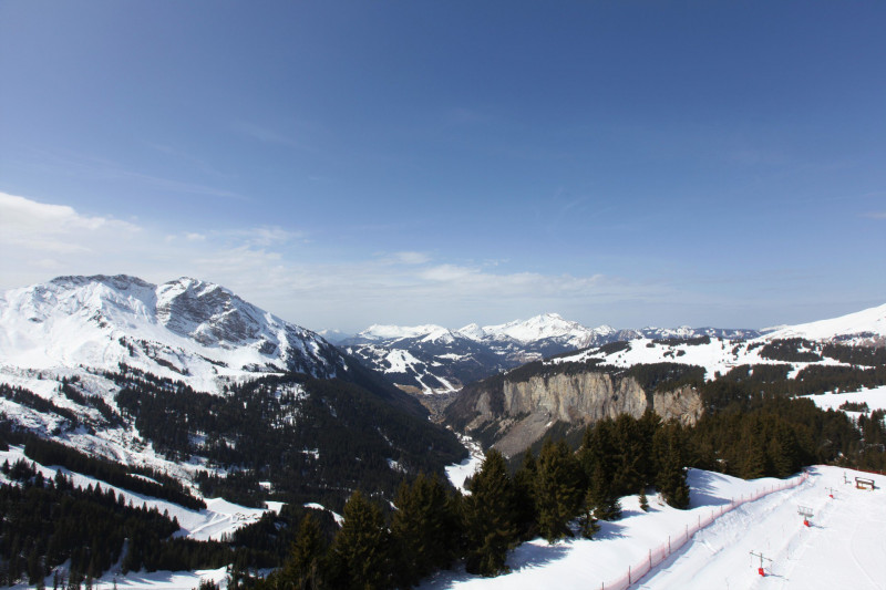 _lv_images__lot_0000390905_14_9381648 _lv_images__lot_0000390905_14_9381648