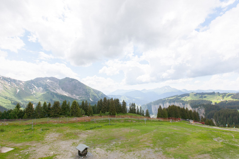 Vue été Vue été