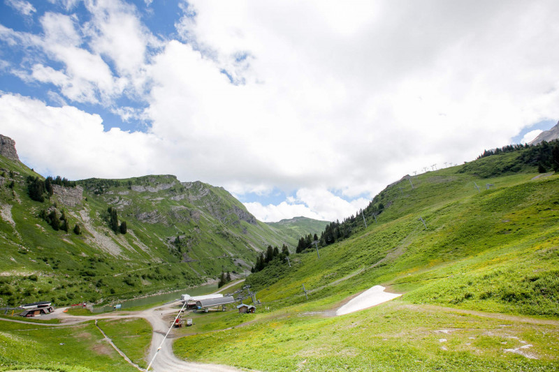 Vue été