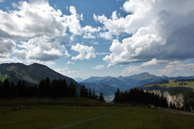 _lv_images__lot_0002800096_10_11029373 _lv_images__lot_0002800096_10_11029373