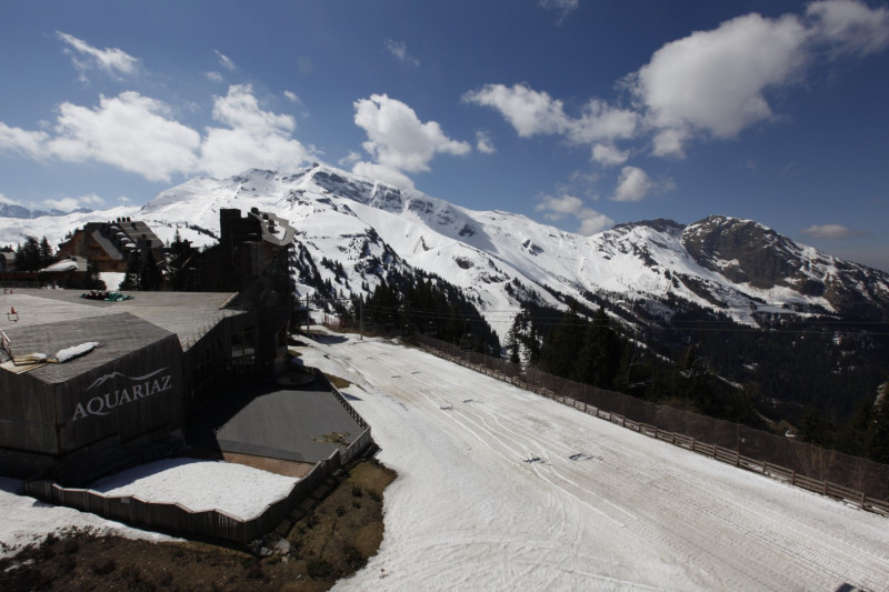 _lv_images__lot_0002800152_14_11043920 _lv_images__lot_0002800152_14_11043920