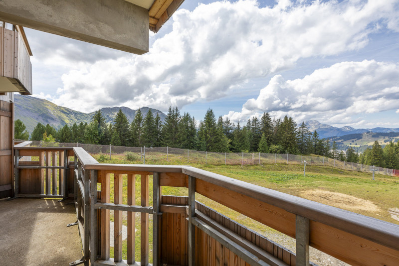 _lv_images__lot_0002800155_15_9521033