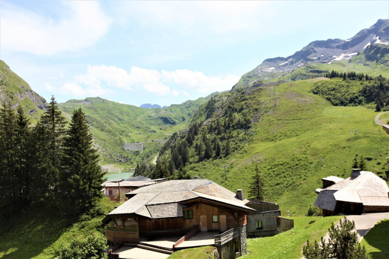 Vue été Vue été
