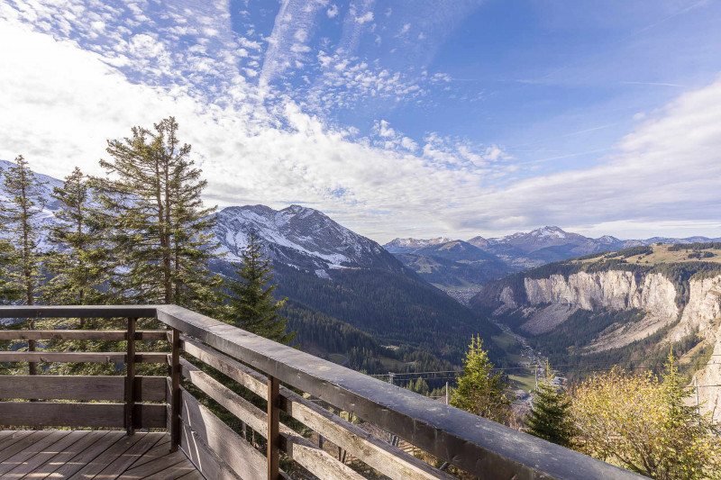 _lv_images__lot_0002800264_15_9309978 _lv_images__lot_0002800264_15_9309978