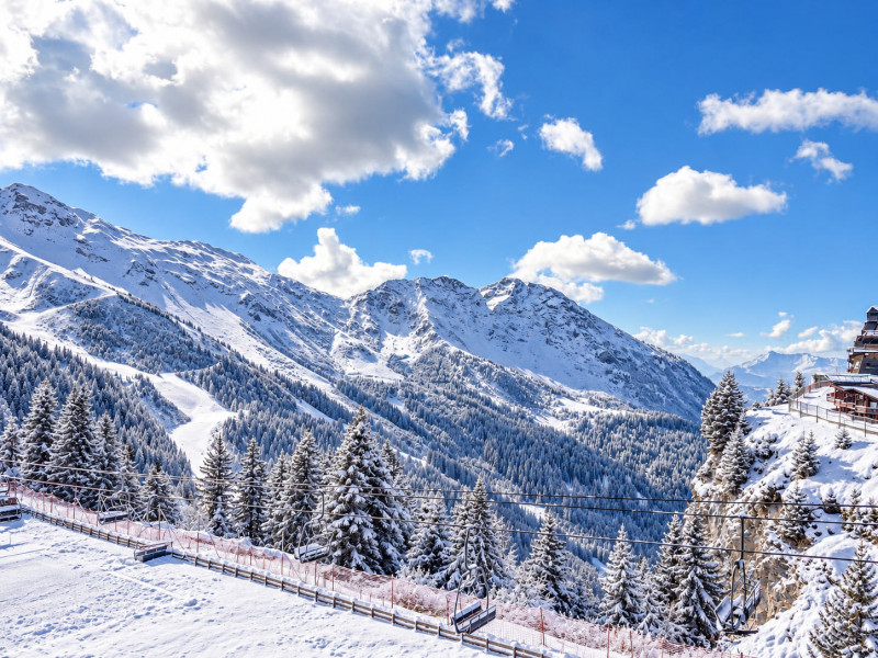 _lv_images__lot_0002800371_07_11475294 _lv_images__lot_0002800371_07_11475294