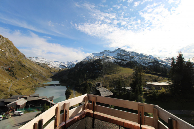 _lv_images__lot_0020392336_09_10013851 _lv_images__lot_0020392336_09_10013851