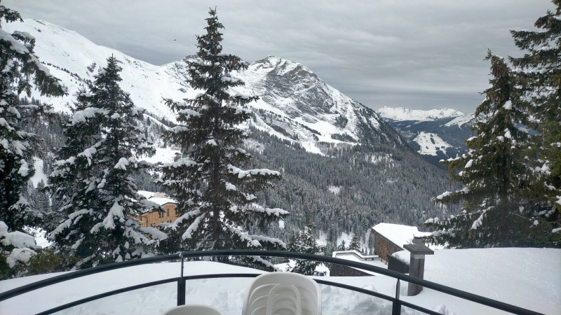 _lv_images__lot_0020392337_16_10197300 _lv_images__lot_0020392337_16_10197300