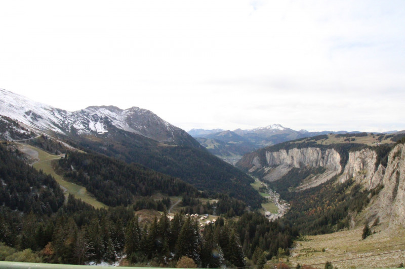 _lv_images__lot_0020392352_10_11032001 _lv_images__lot_0020392352_10_11032001