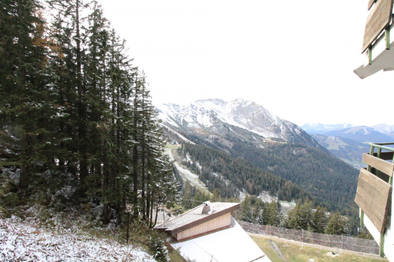 _lv_images__lot_0020392354_12_10190192 _lv_images__lot_0020392354_12_10190192