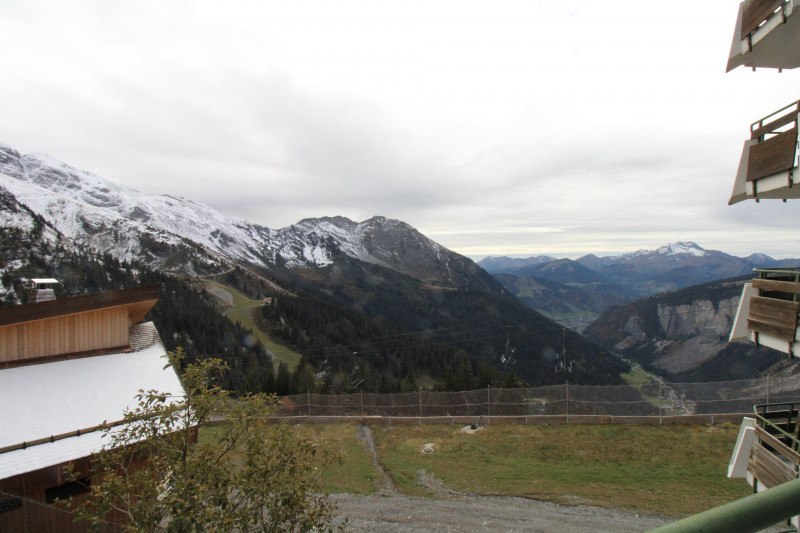 _lv_images__lot_0020392355_11_10047714 _lv_images__lot_0020392355_11_10047714