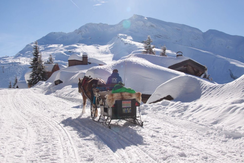 _lv_images__lot_0020392360_12_11031840 _lv_images__lot_0020392360_12_11031840