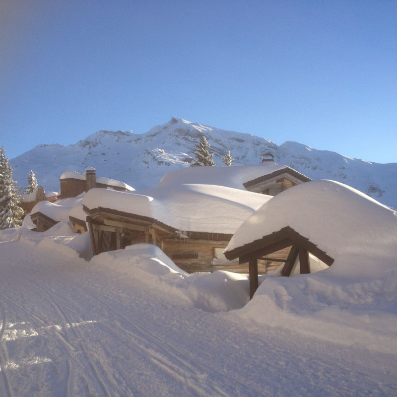 _lv_images__lot_0020392360_13_11031841 _lv_images__lot_0020392360_13_11031841