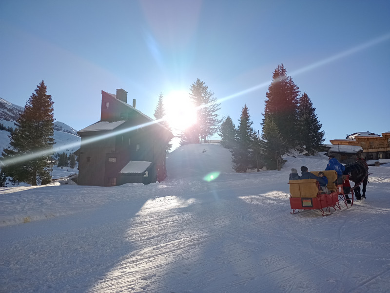_lv_images__lot_0020392373_16_11018486 _lv_images__lot_0020392373_16_11018486