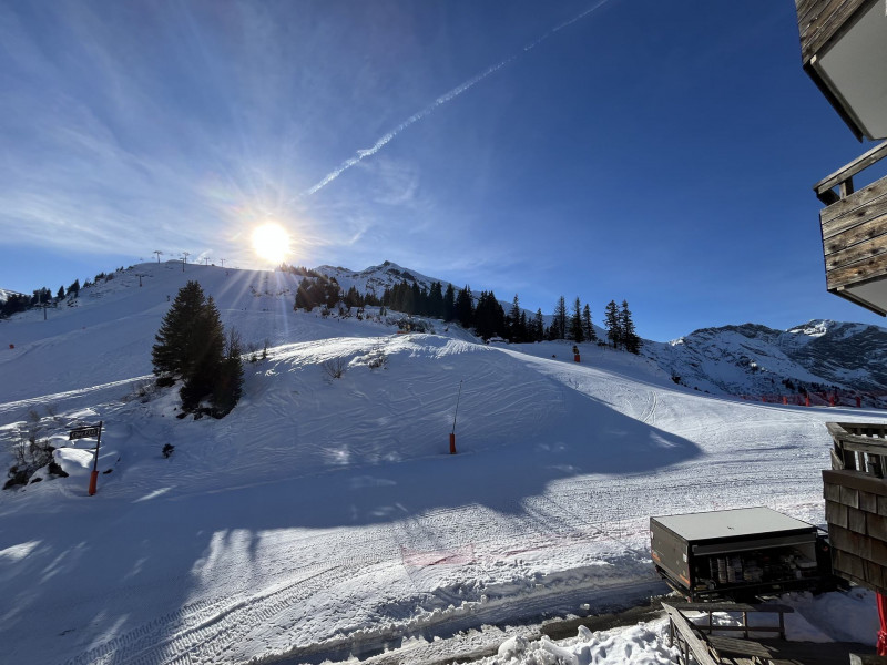 _lv_images__lot_0020392378_09_11025290 _lv_images__lot_0020392378_09_11025290