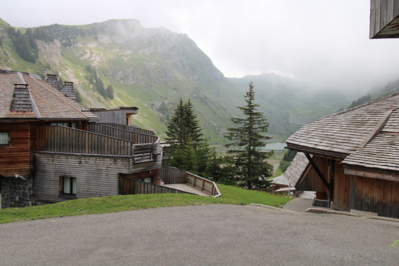 _lv_images__lot_0020392380_13_9503695