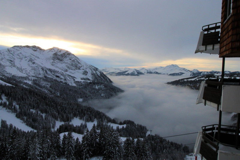 _lv_images__lot_0020392397_10_10177685 _lv_images__lot_0020392397_10_10177685