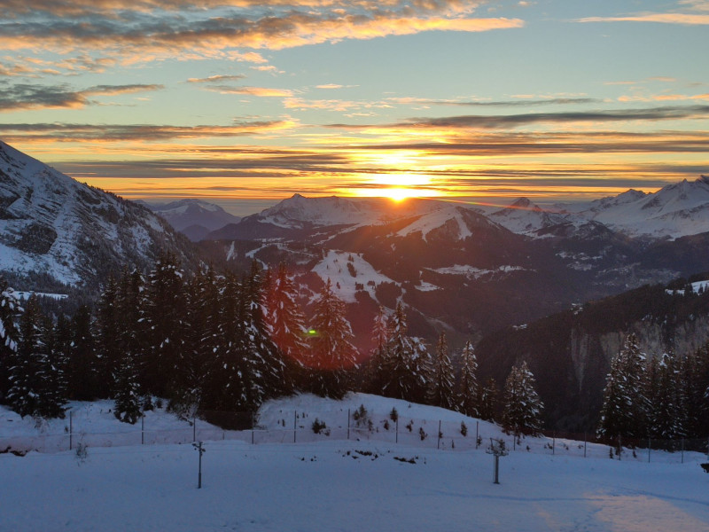 _lv_images__lot_0020392400_08_11025701