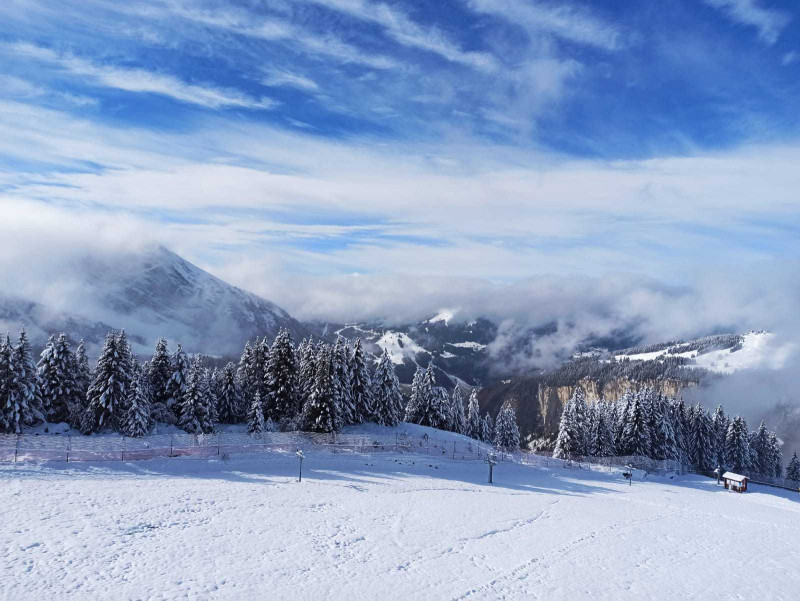 _lv_images__lot_0020392400_09_11176600
