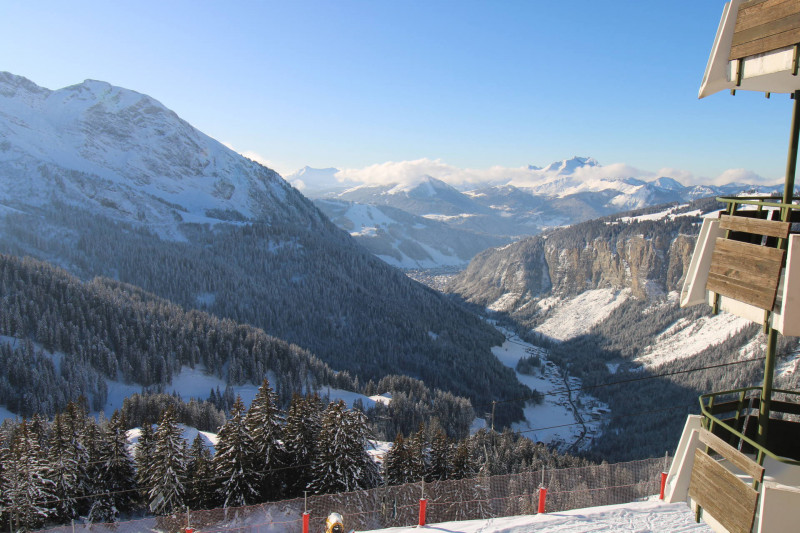 _lv_images__lot_0020392401_13_11031947 _lv_images__lot_0020392401_13_11031947