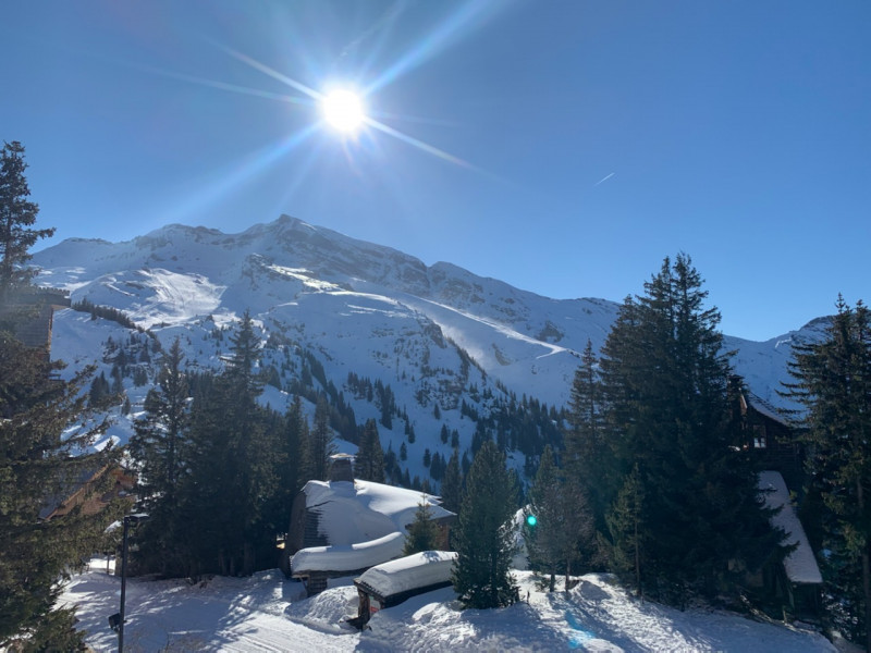 _lv_images__lot_0020392419_11_11026174