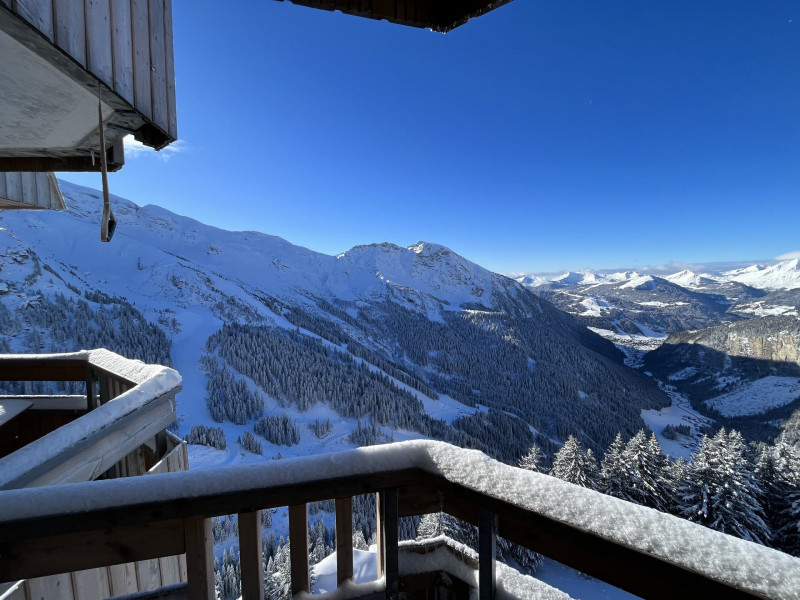 _lv_images__lot_0020392425_11_9820248 _lv_images__lot_0020392425_11_9820248