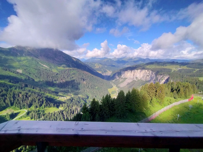 _lv_images__lot_0020392425_12_10075111