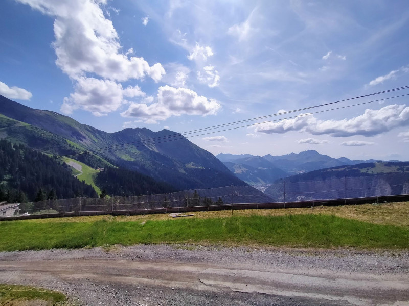 _lv_images__lot_0020392426_11_11216102