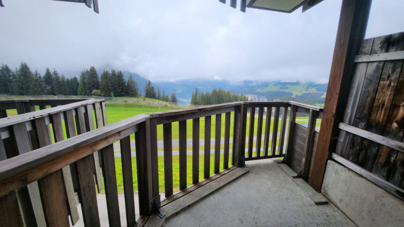 _lv_images__lot_0020392443_13_9319418