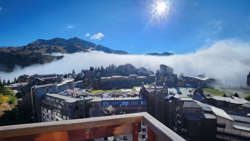 _lv_images__lot_0020392447_10_11151111