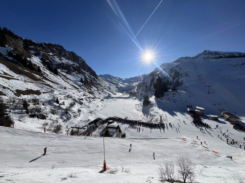 _lv_images__lot_0020392453_07_11025784 _lv_images__lot_0020392453_07_11025784