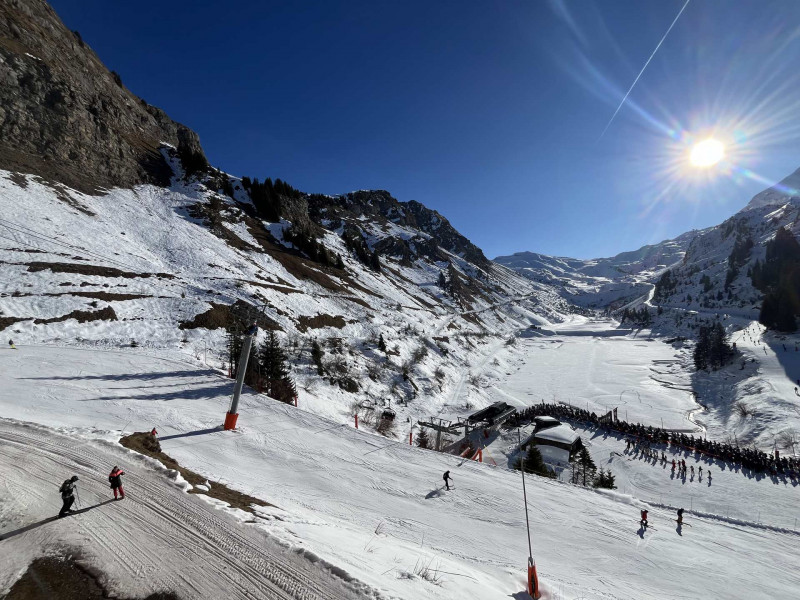 _lv_images__lot_0020392453_08_11025785 _lv_images__lot_0020392453_08_11025785