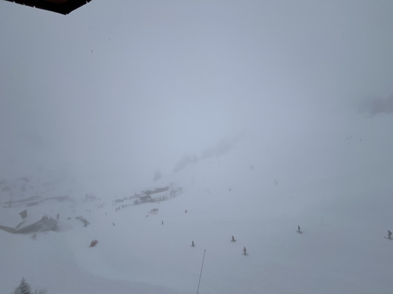 _lv_images__lot_0020392456_12_9914411 _lv_images__lot_0020392456_12_9914411