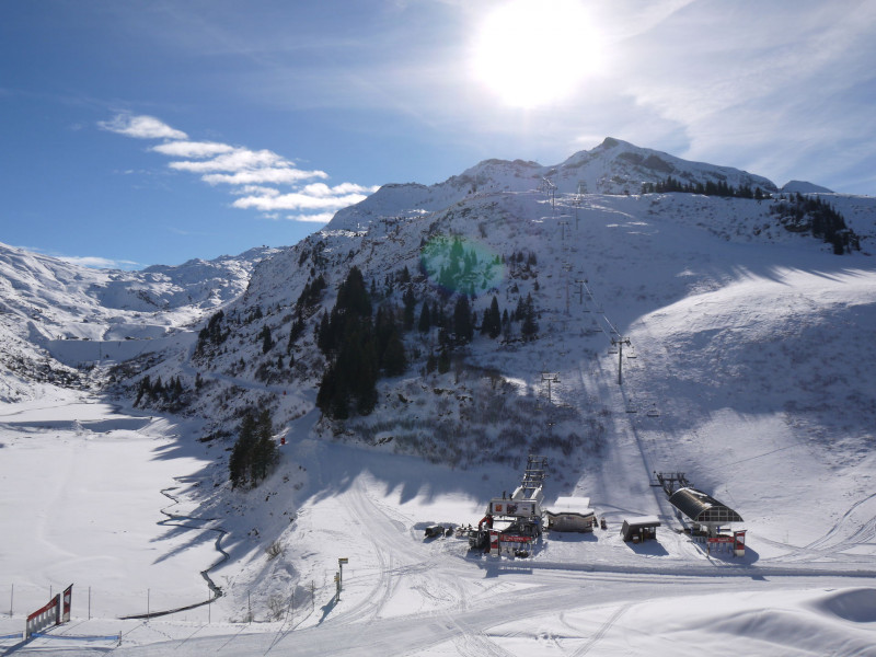 _lv_images__lot_0050290402_11_9152388 _lv_images__lot_0050290402_11_9152388